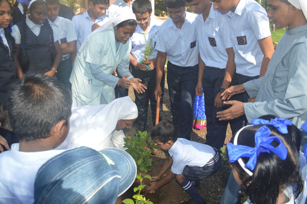 environment day stritas tree planting